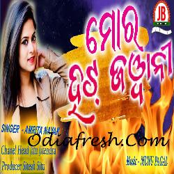 Mora Hot Jabani - Dance Song